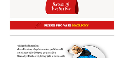 Grafický návrh a rozesílka direct mailové kampaně pro zákazníky značky Samohýl Exclusive.