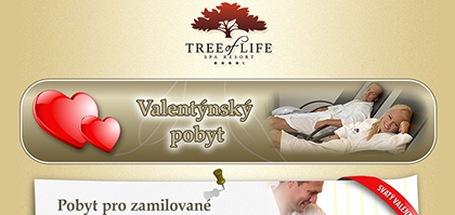 Grafický návrh a rozesílka direct mailové kampaně Valentýnský pobyt pro Spa resort Tree of Life****.